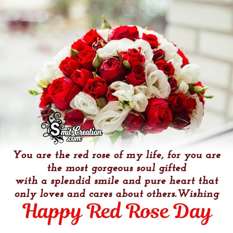 Wishing Happy Red Rose Day - SmitCreation.com