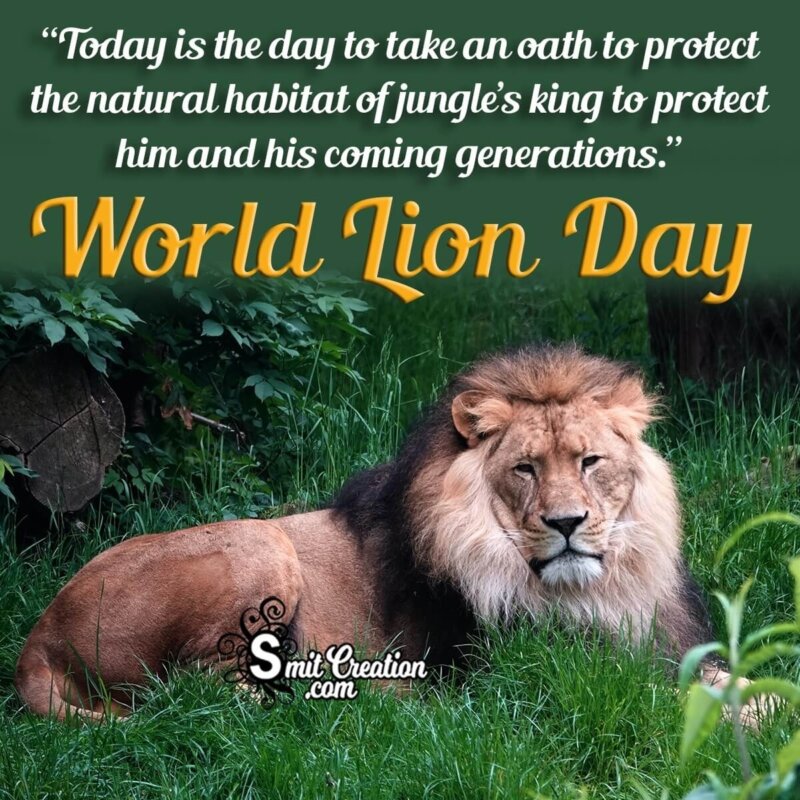 10 World Lion Day - Pictures and Graphics for different festivals