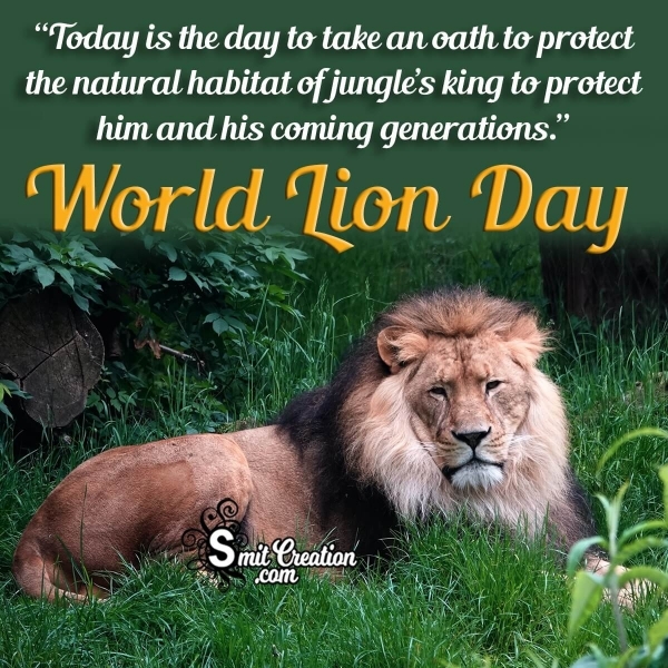 Wishes on World Lion Day