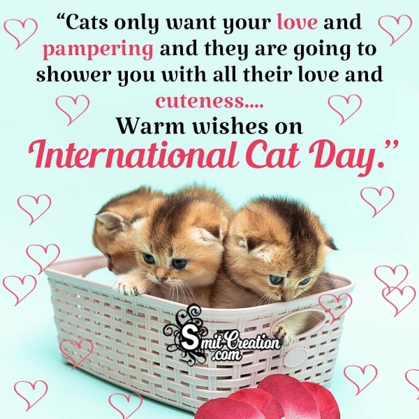 Wish You a Very Happy International Cat Day
