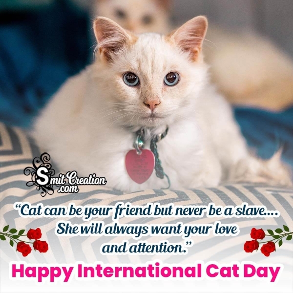 Adorable International Cat Day Wishes