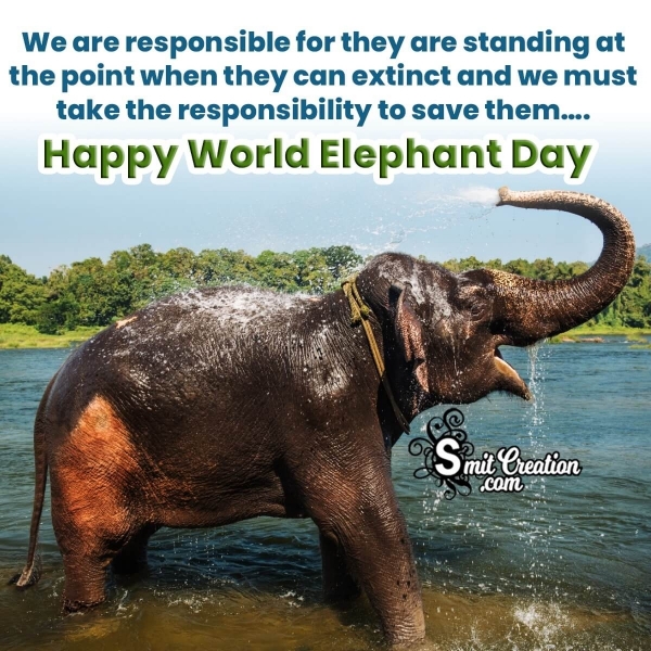 Happy World Elephant Day Greeting