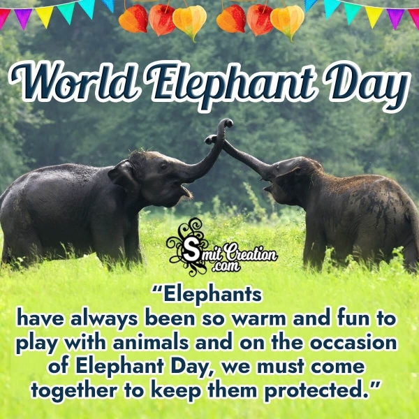 World Elephant Day Message Picture