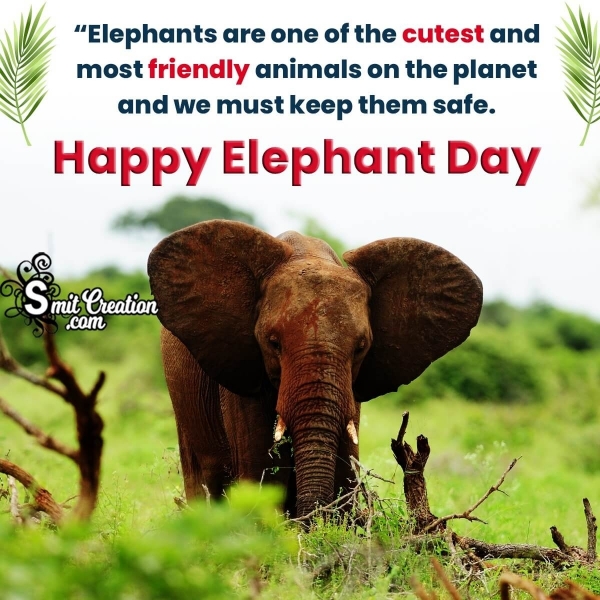 World Elephant Day Quotes