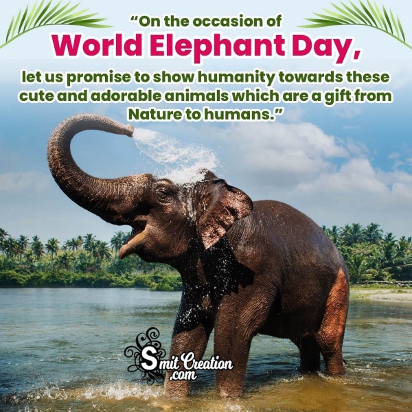 World Elephant Day Status Image