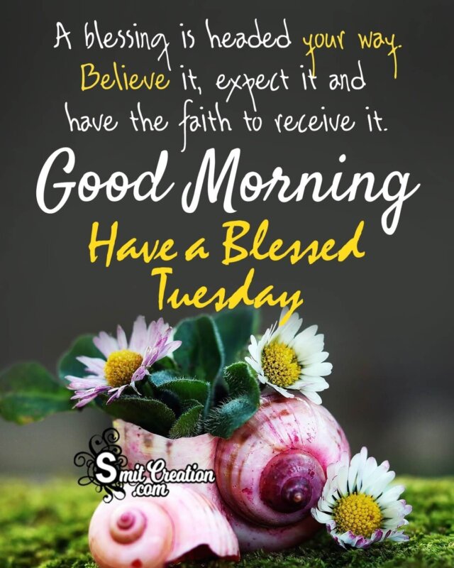Good Morning Have A Blessed Tuesday - SmitCreation.com