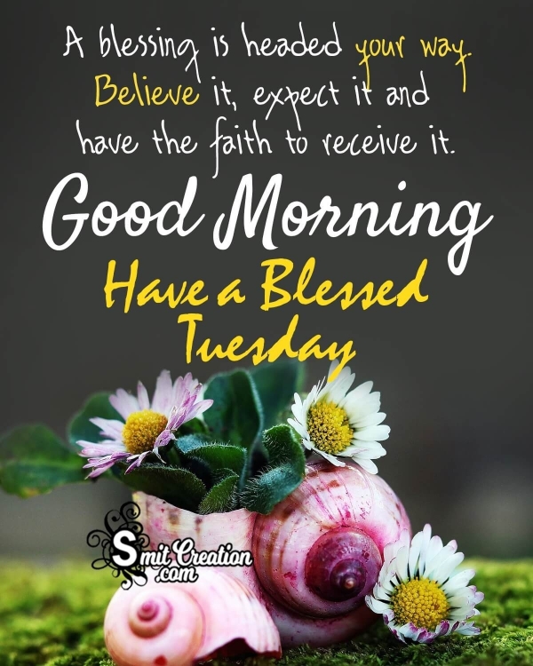 Good Morning Have A Blessed Tuesday