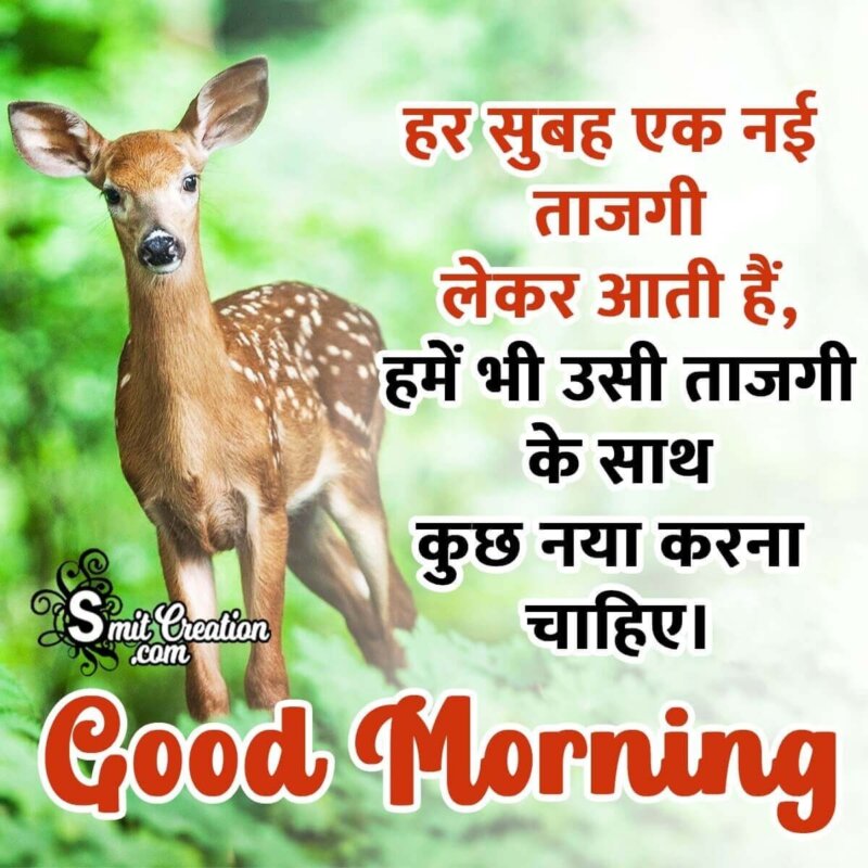 Good Morning Hindi Motivational Pic - SmitCreation.com