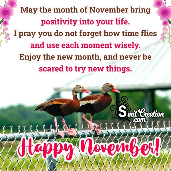 Happy November, Enjoy The New Month