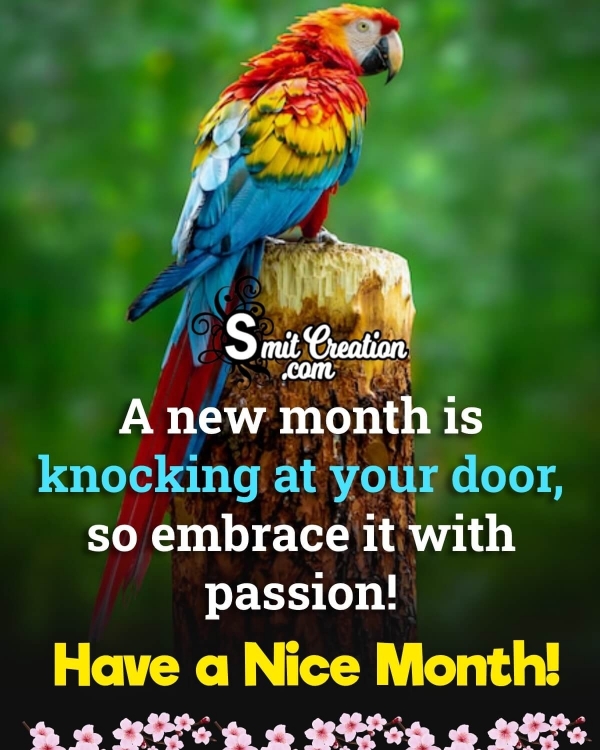 Beautiful New Month Picture
