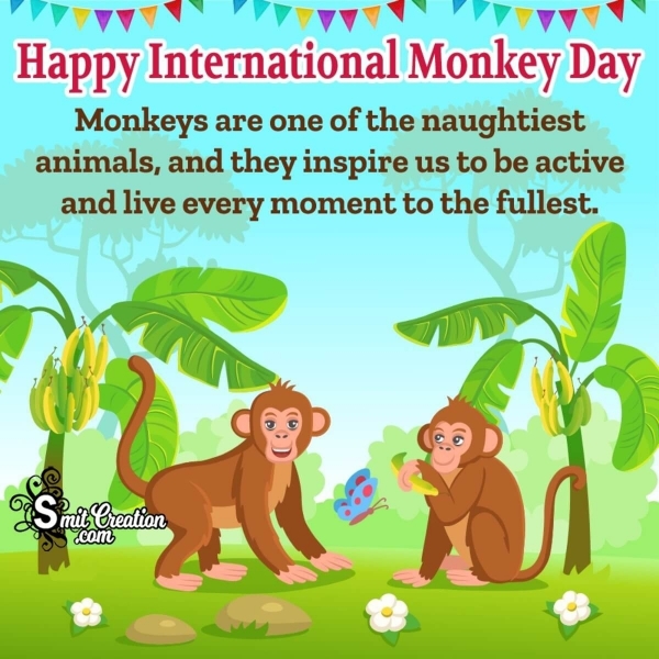 International Monkey Day Quote Image