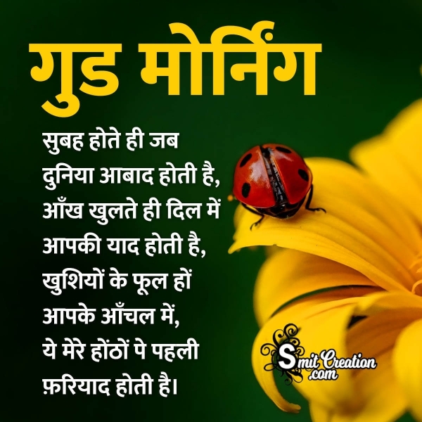 Hindi Shayari Good Morning Pic