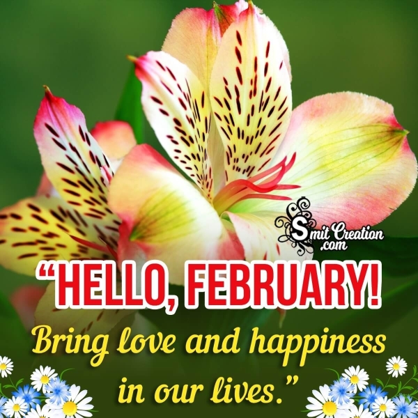 Hello, February, Bring Love And Happiness In Our Lives