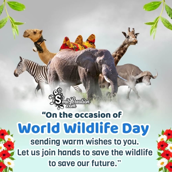 World Wildlife Day Greeting Photo
