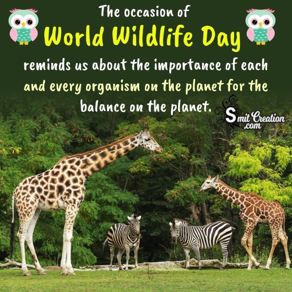 World Wildlife Day Message Pic