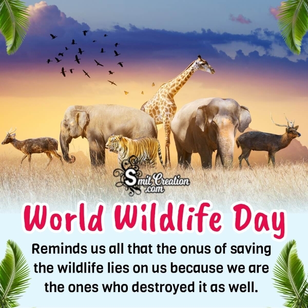 World Wildlife Day Message Photo