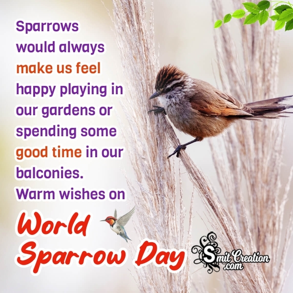 World Sparrow Day Best Message Image