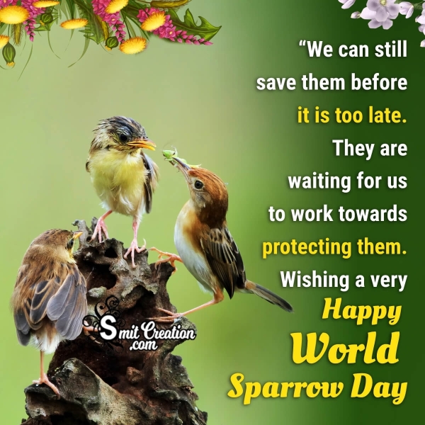 World Sparrow Day Status Photo