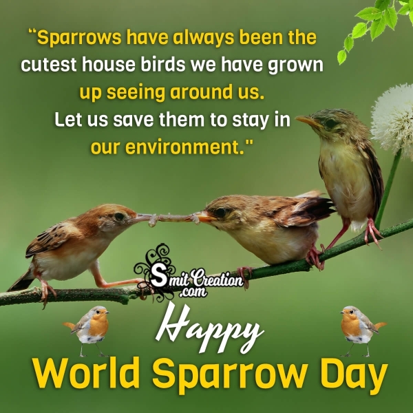 Happy World Sparrow Day Message Picture