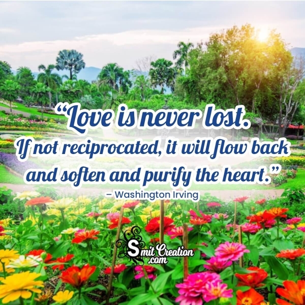 Love Is Never Lost Quote Image