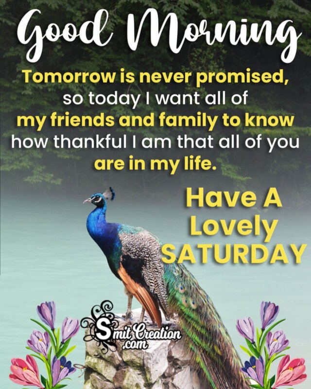 Good Morning Lovely Saturday Message Pic - SmitCreation.com