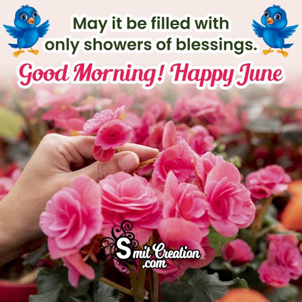 Good Morning Happy June Message Photo