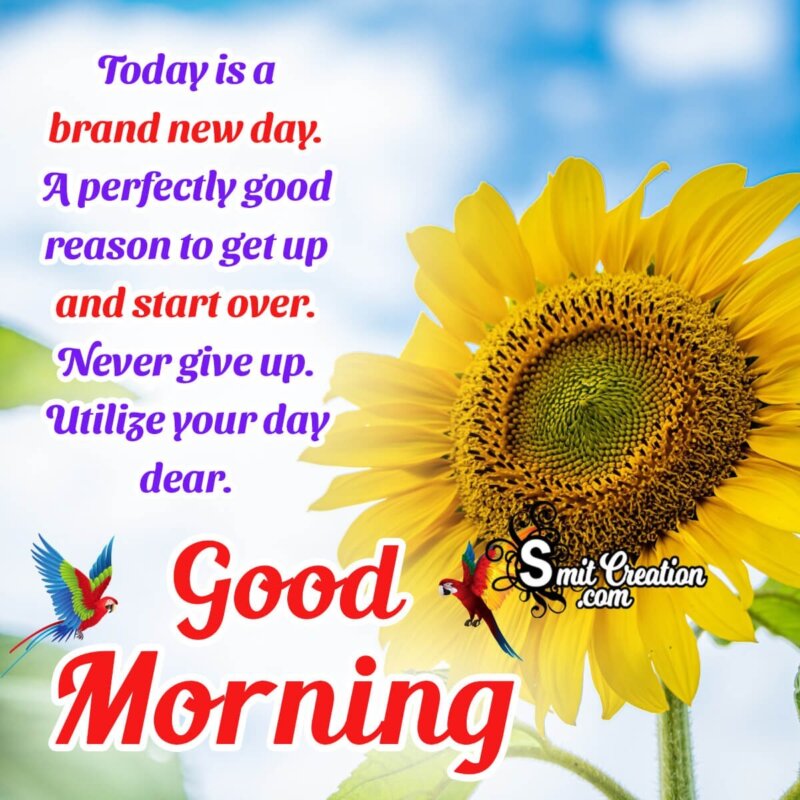 Best Good Morning Whatsapp Status Photo - SmitCreation.com