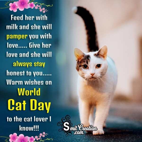 Happy World Cat Day Greeting Photo
