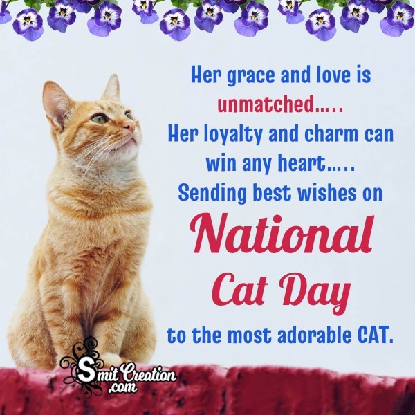 International Cat Day Wish Picture