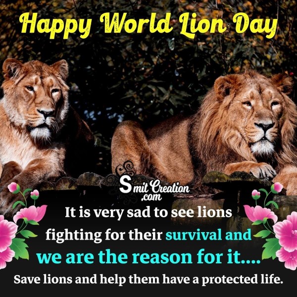 Save Lions On Happy World Lion Day