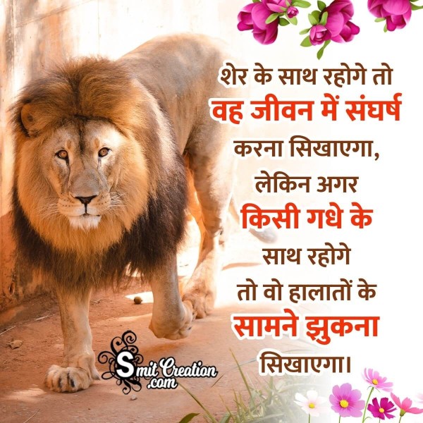 Happy World Lion Day Hindi Message Pic