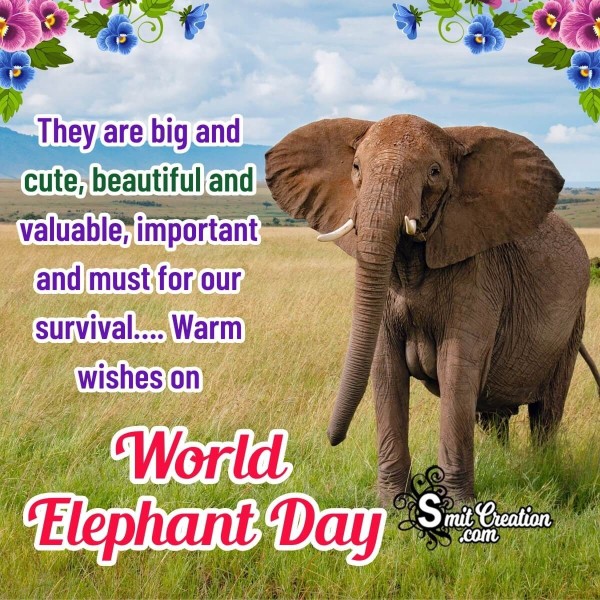 Happy World Elephant Day Wish Photo