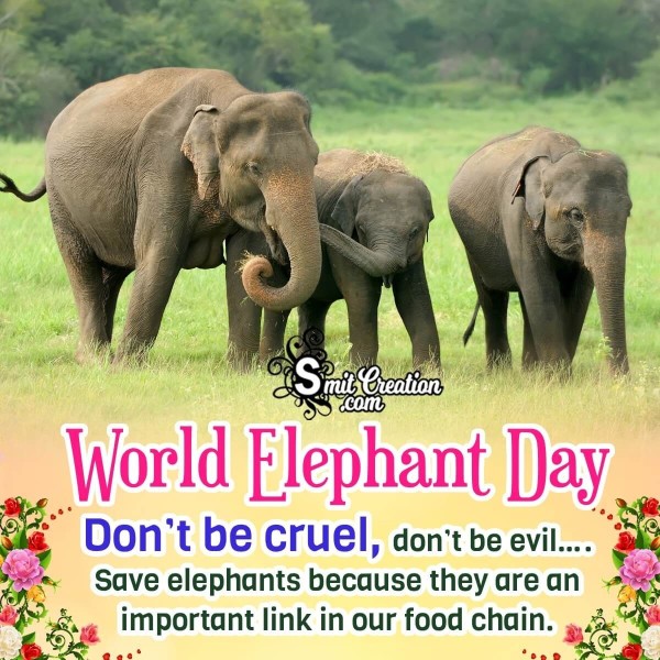 World Elephant Day Quote Pic