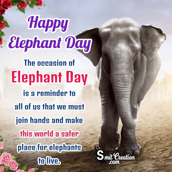 World Elephant Day Message Photo