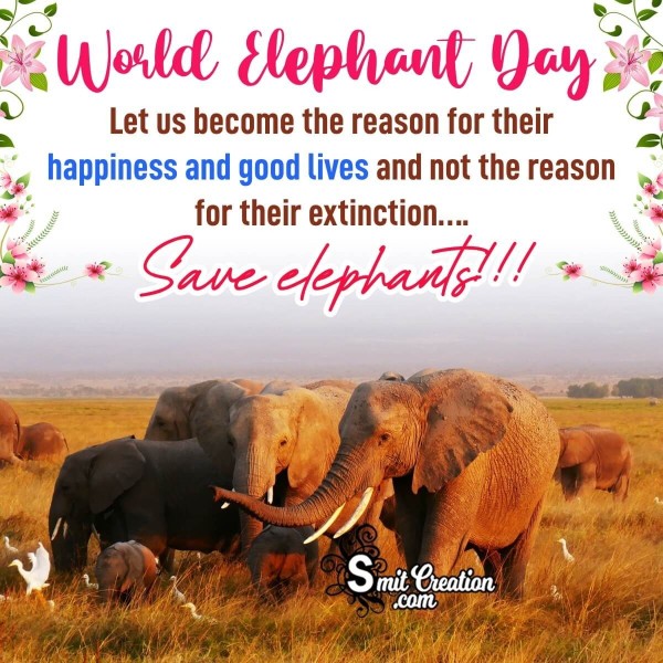 Happy World Elephant Day Greeting Picture