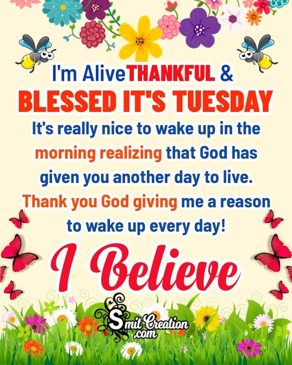 Happy Tuesday Blessed Photo