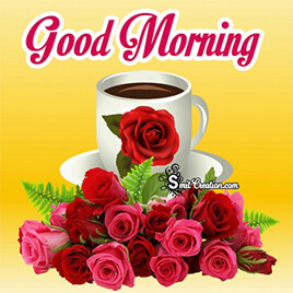 Good Morning Rose Pictures