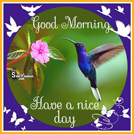 Good Morning Greeting Cards