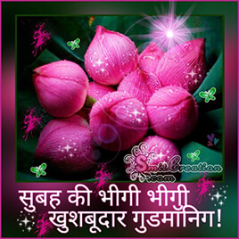 Shubh Prabhat Hindi Photo