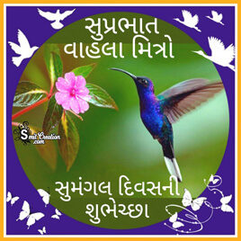 Shubh Savar Gujarati Photo