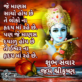 Shubh Savar Krishna Photo