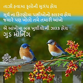 Shubh Savar Gujarati Photo