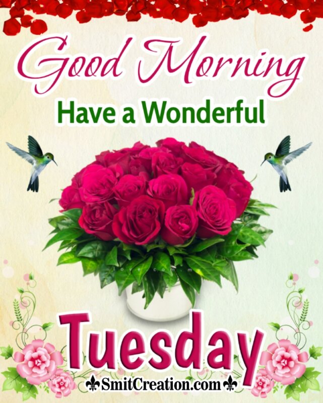Good Morning Have A Wonderful Tuesday