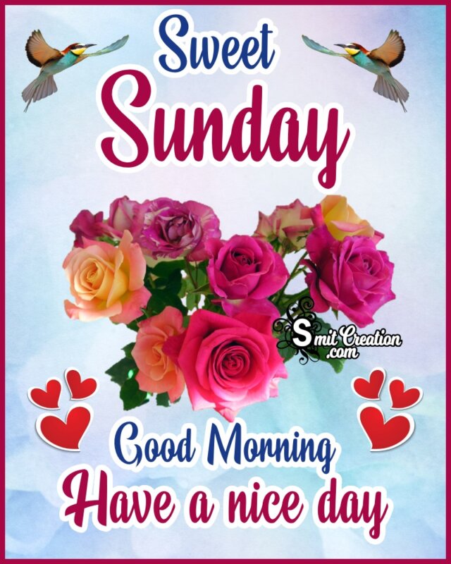 Good Morning Sweet Sunday Roses