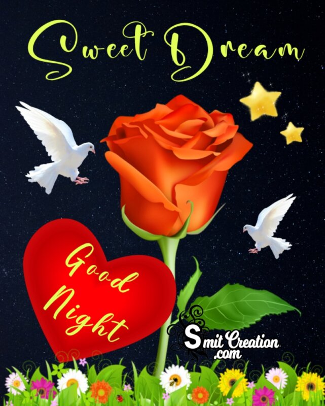 Sweet Dreams Good Night Heart
