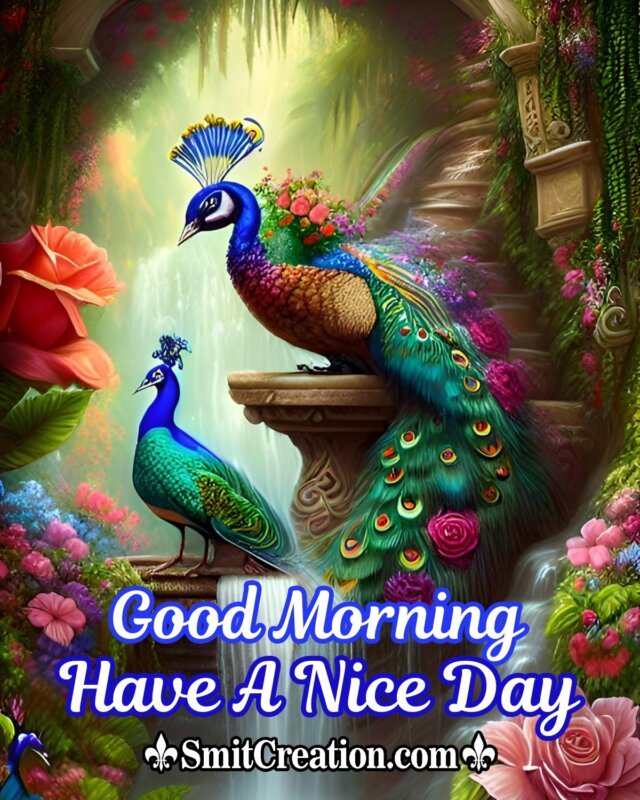Good Morning Colourful Birds Pictures