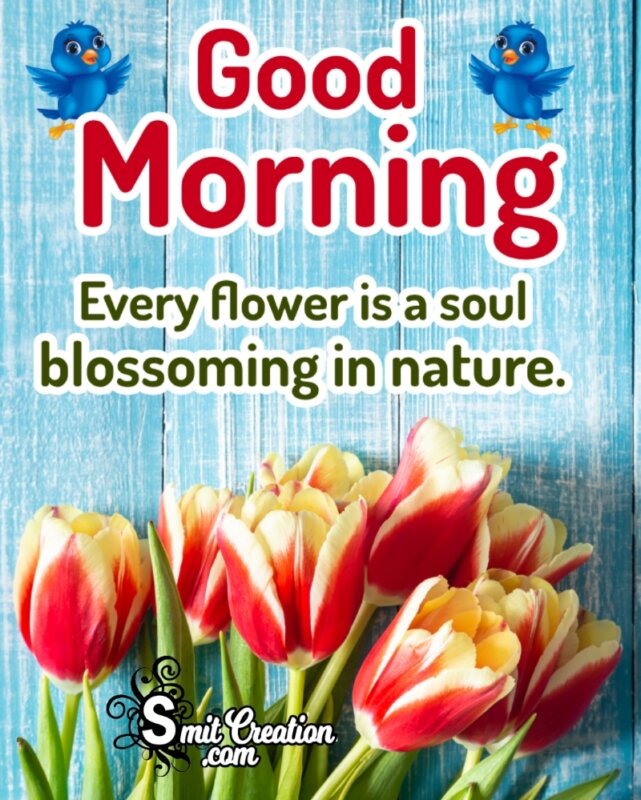 Good Morning Flowers Images With Quote