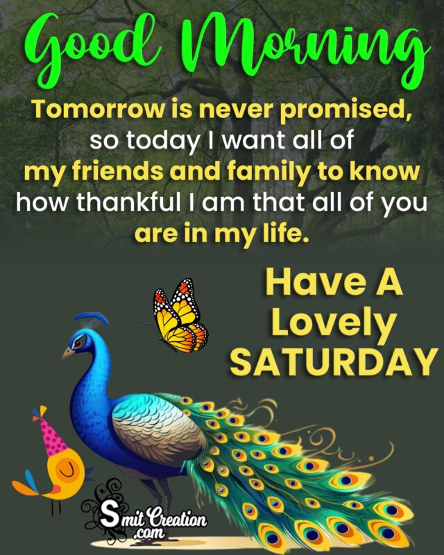 Good Morning Lovely Saturday Message Pic