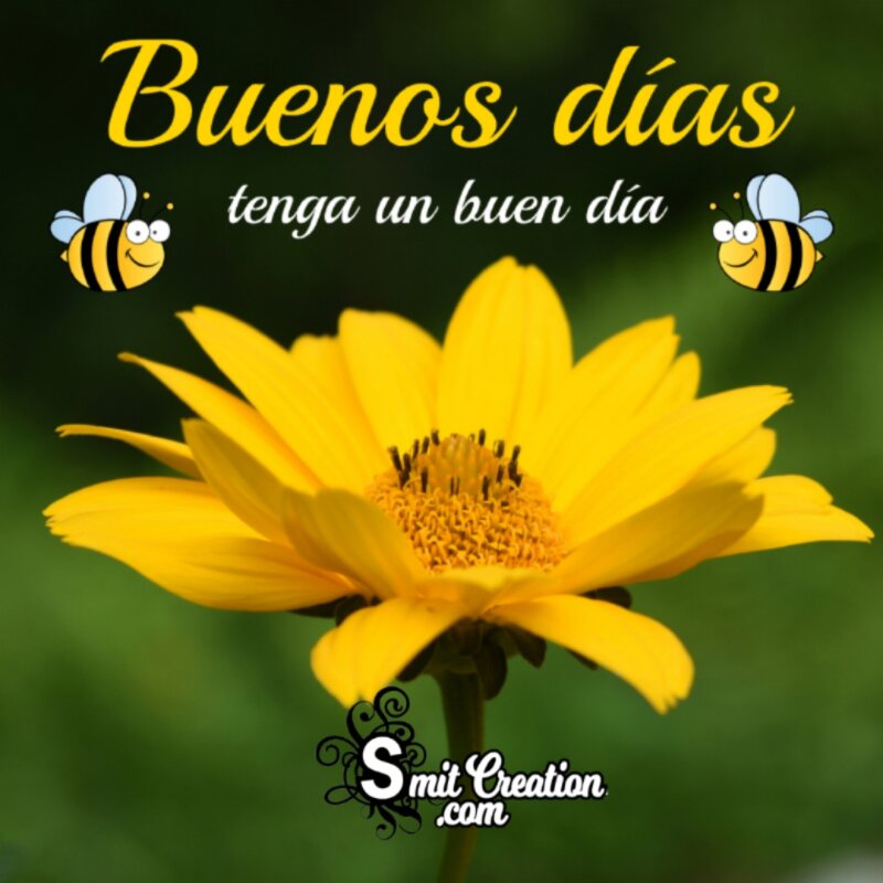 Good Morning Wishes In Spanish